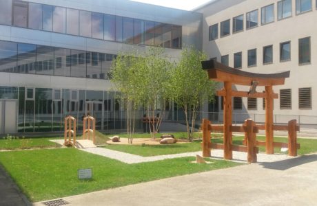 Espaces Zen au Lycée Ampère : Année 2016-2017